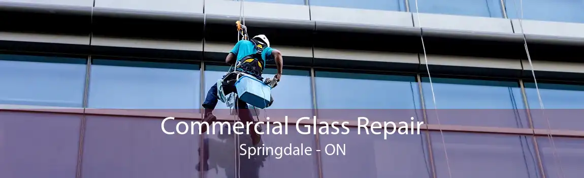 Commercial Glass Repair Springdale - ON