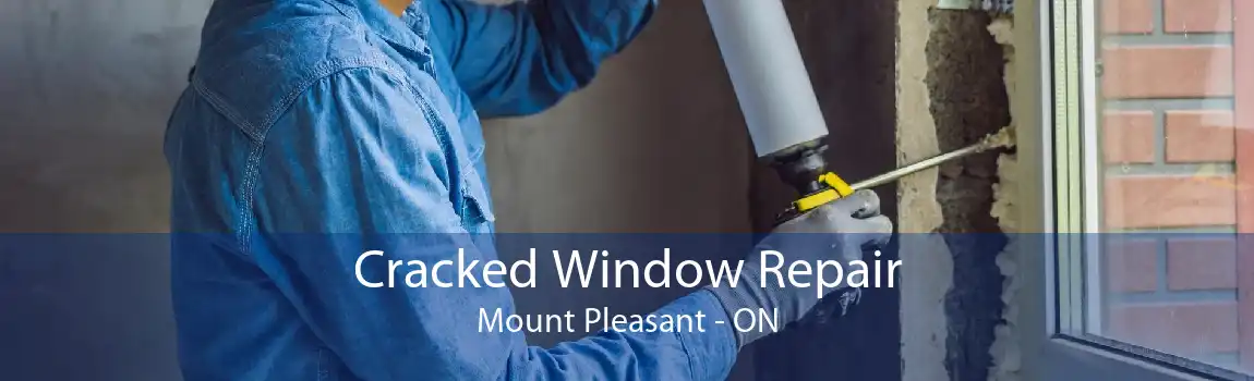 Cracked Window Repair Mount Pleasant - ON