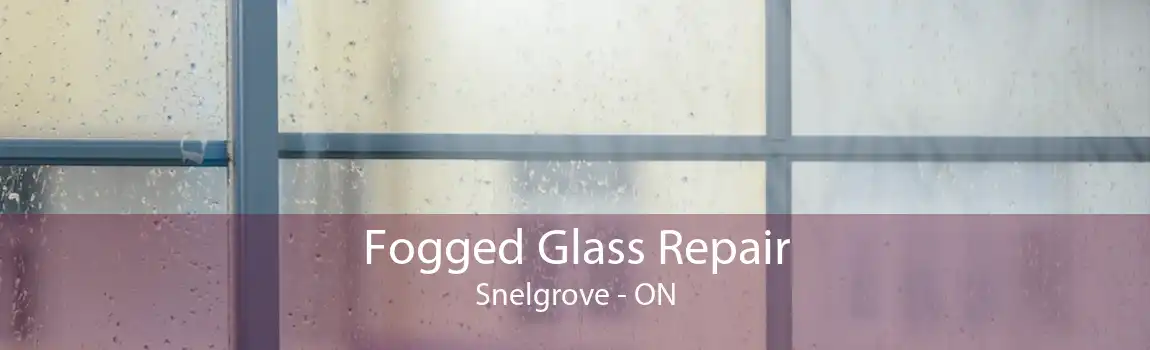 Fogged Glass Repair Snelgrove - ON