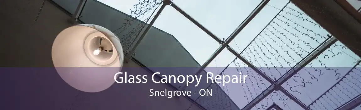 Glass Canopy Repair Snelgrove - ON