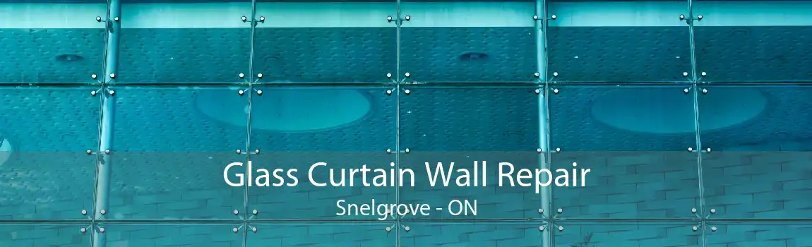 Glass Curtain Wall Repair Snelgrove - ON