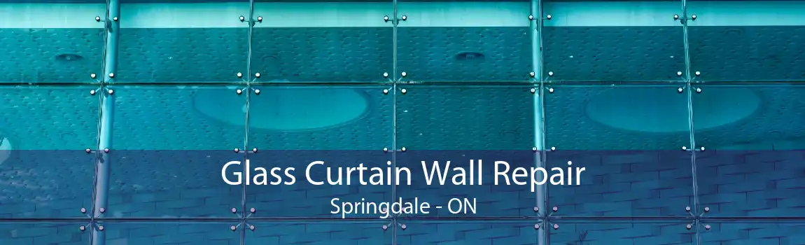 Glass Curtain Wall Repair Springdale - ON