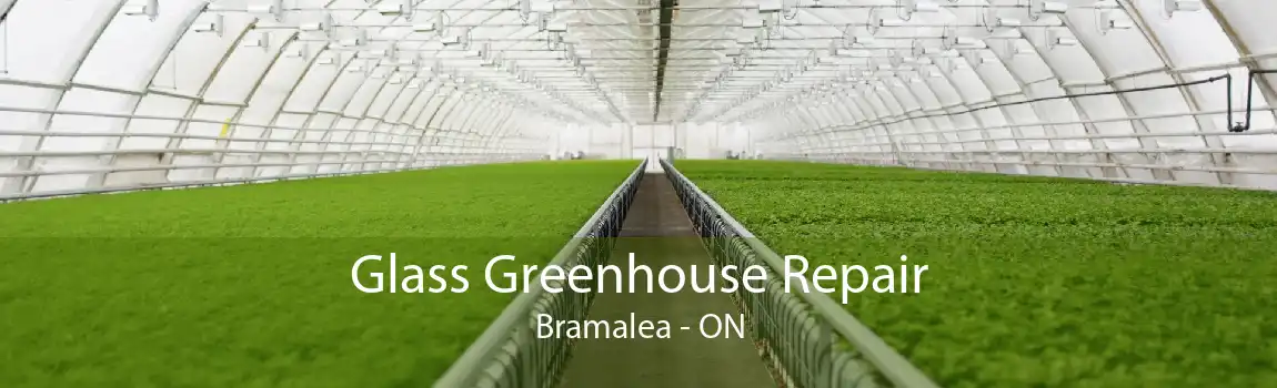 Glass Greenhouse Repair Bramalea - ON