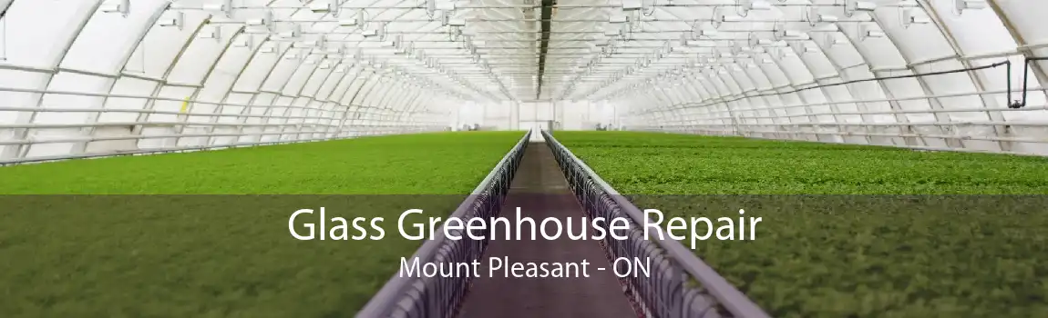 Glass Greenhouse Repair Mount Pleasant - ON