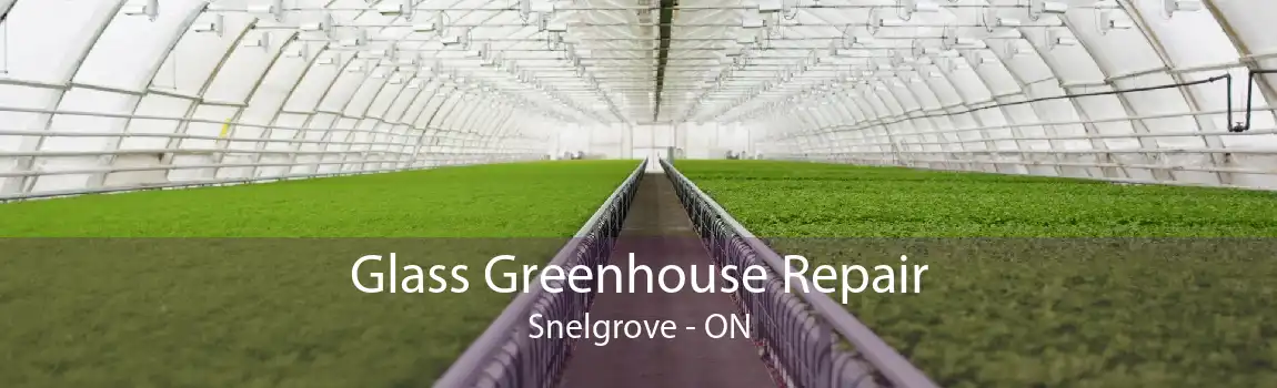 Glass Greenhouse Repair Snelgrove - ON