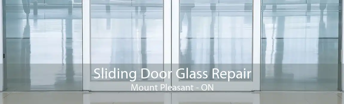 Sliding Door Glass Repair Mount Pleasant - ON