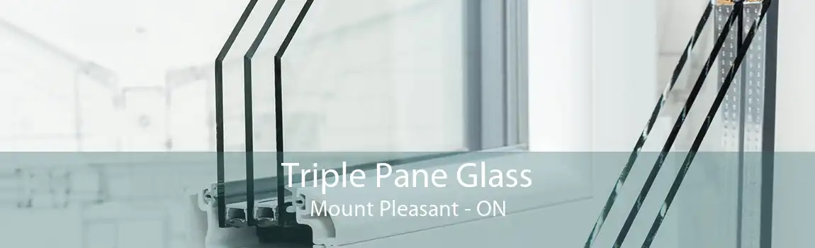 Triple Pane Glass Mount Pleasant - ON