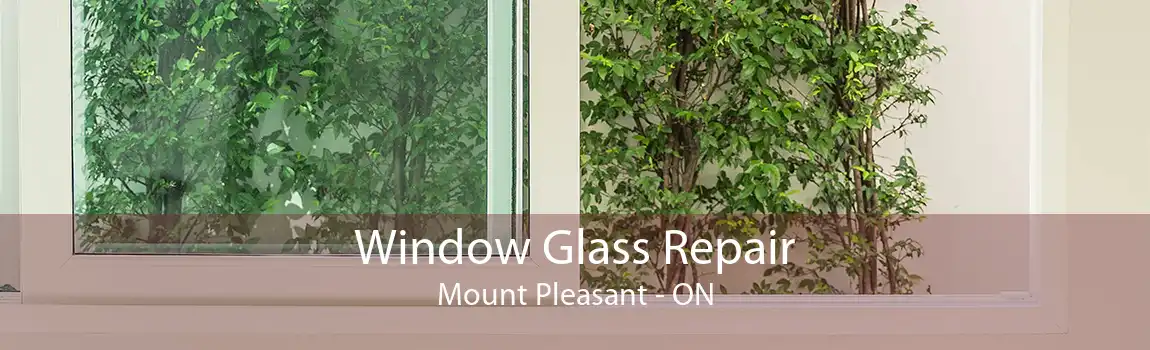Window Glass Repair Mount Pleasant - ON