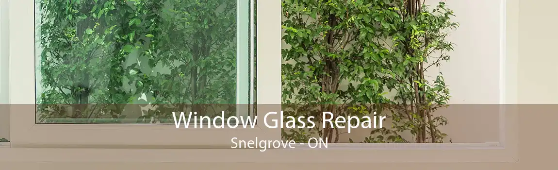 Window Glass Repair Snelgrove - ON