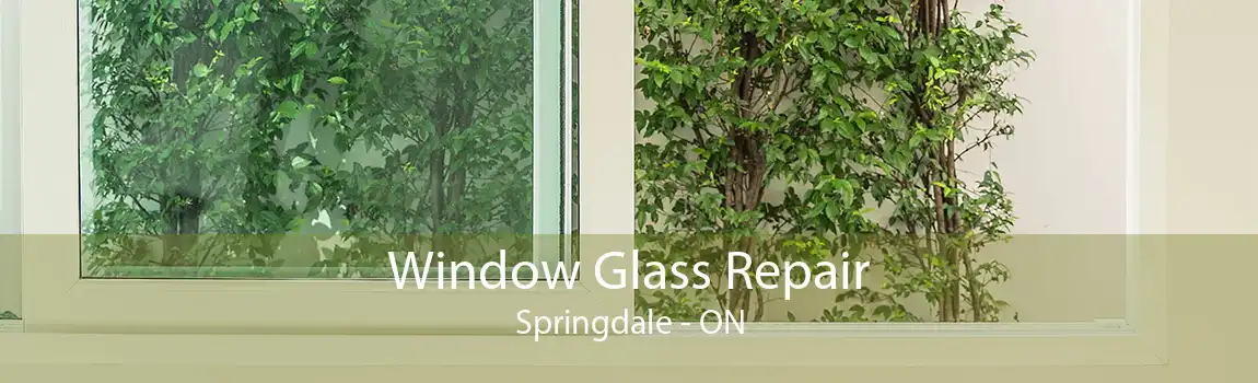 Window Glass Repair Springdale - ON
