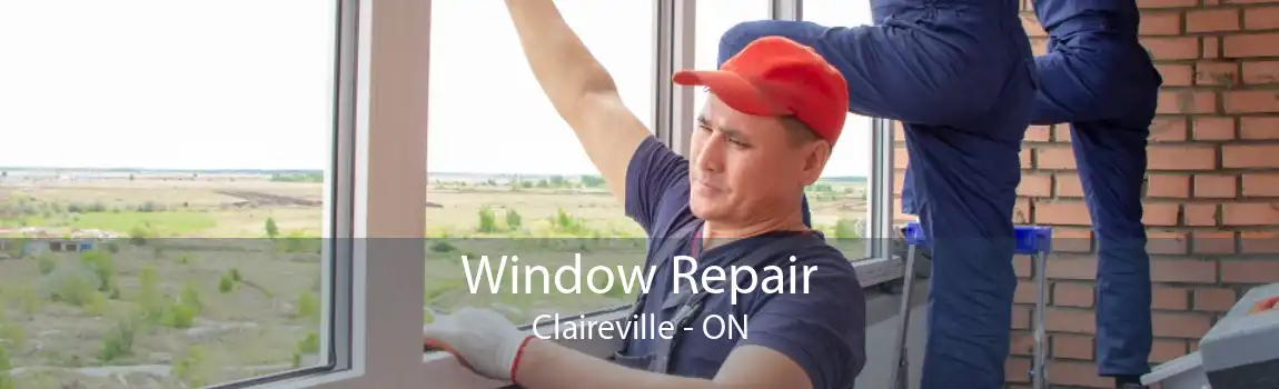 Window Repair Claireville - ON
