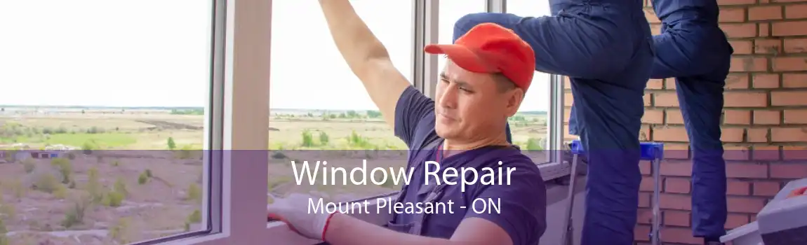 Window Repair Mount Pleasant - ON