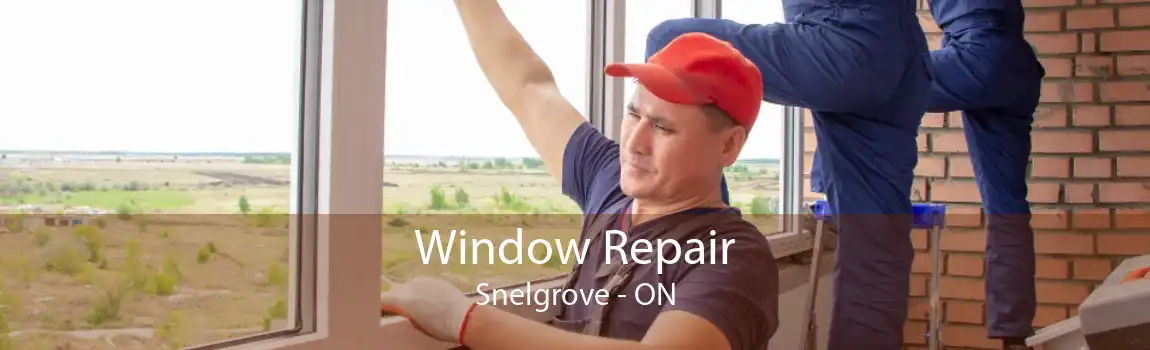 Window Repair Snelgrove - ON