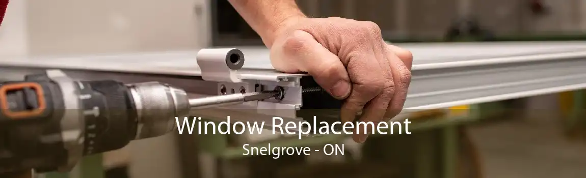 Window Replacement Snelgrove - ON