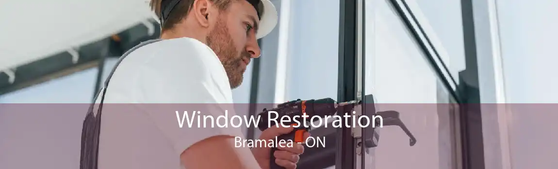 Window Restoration Bramalea - ON