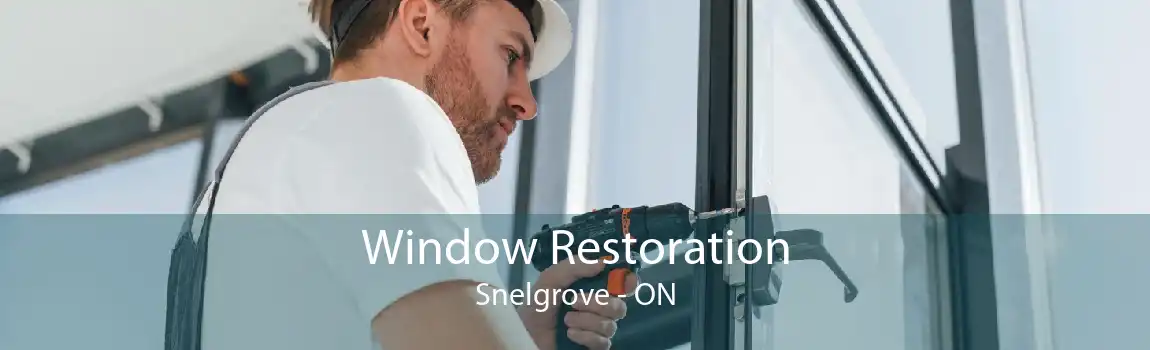 Window Restoration Snelgrove - ON