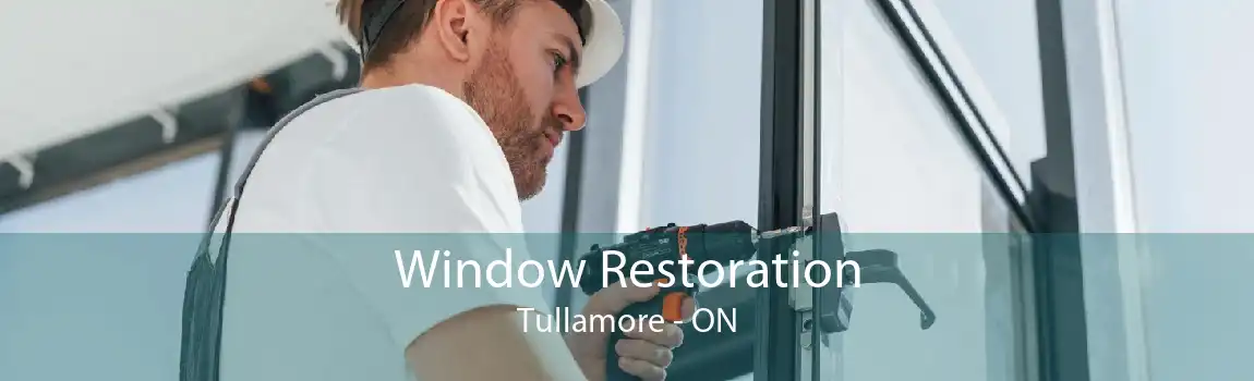 Window Restoration Tullamore - ON
