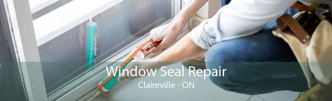Window Seal Repair Claireville - ON