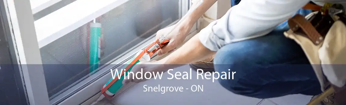 Window Seal Repair Snelgrove - ON