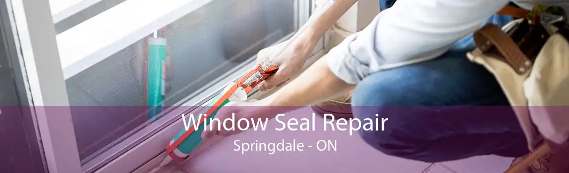 Window Seal Repair Springdale - ON