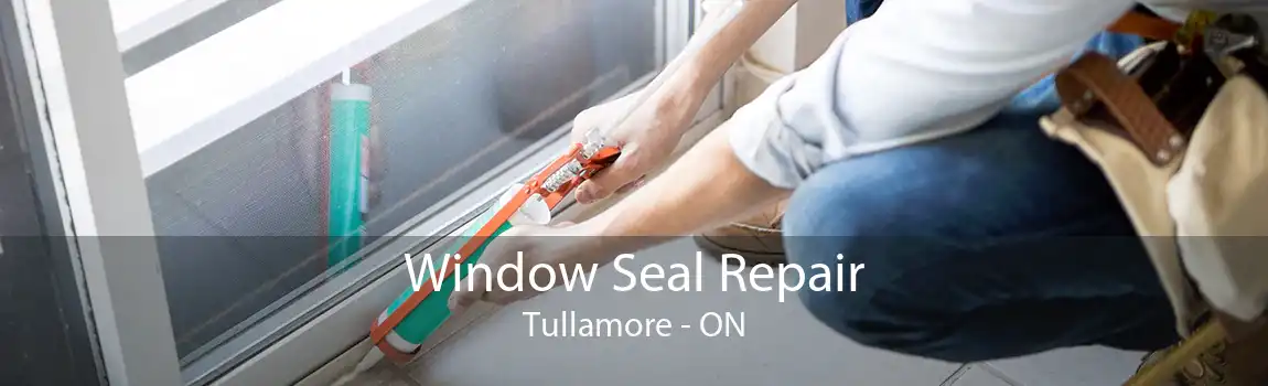 Window Seal Repair Tullamore - ON